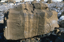 Photo of sample